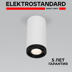 Накладной потолочный светильник Elektrostandard Lead 25033/LED 9W 4200K белый из металла