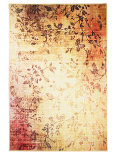 Ковер Cleopatra Розетта Дижитал 80x120 см разноцветный