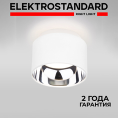 Накладной потолочный светильник Elektrostandard Charlie 1069 GX53 WH белый матовый
