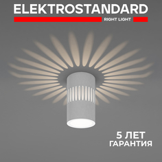 Накладной светодиодный светильник с подсветкой Elektrostandard DLS026 7W 4200К белый