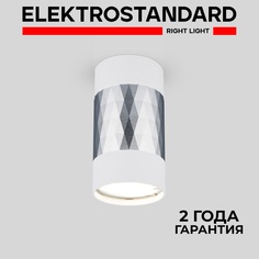 Накладной потолочный светильник Elektrostandard Mizar DLN110 GU10 белый/серебро