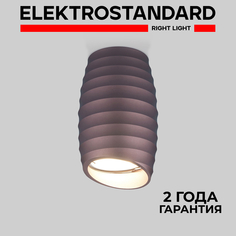 Накладной потолочный светильник Elektrostandard DLN105 GU10 коричневый