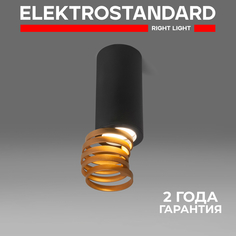 Накладной точечный потолочный светильник Elektrostandard DLN102 GU10 черный/золото