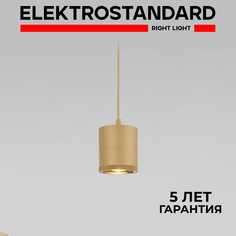 Подвесной светильник Elektrostandard Lead 50243 LED 12W 4200K золото с металл. плафоном