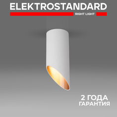 Накладной потолочный светильник Elektrostandard DLN114 GU10 белый/золото
