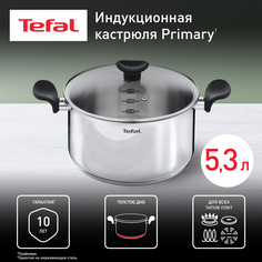 Кастрюля Tefal E3084674 5,2 л серебристый