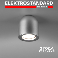 Накладной потолочный светильник Elektrostandard Ogma DLN116 GU10 серебро