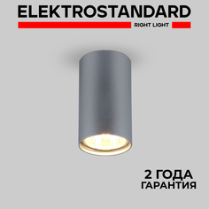 Накладной точечный потолочный светильник Elektrostandard 1081 GU10 SL серебро