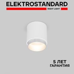 Накладной светодиодный светильник Elektrostandard Cors 25032/LED 10W 4200К белый/серебро