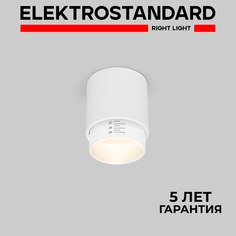 Накладной светодиодный светильник Elektrostandard Cors 25032/LED 10W 4200К белый