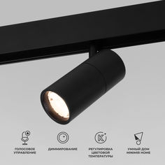 Умный трековый светильник Elektrostandard Slim Magnetic Dim R01 85074/01 6W Minimir Home