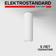 Потолочный светодиодный светильник Elektrostandard Onde 25045/LED 10W 4000K белый