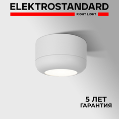 Потолочный светодиодный светильник Elektrostandard Onde 25046/LED 15W 4000K белый