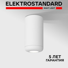 Потолочный светодиодный светильник Elektrostandard Onde 25044/LED 10W 4000K белый