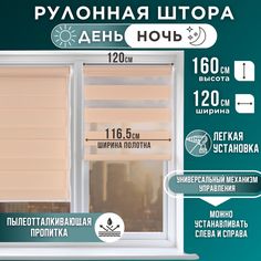 Рулонная штора ДЕНЬ и НОЧЬ 116,5x160 персик Magellan