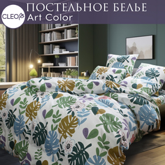 Постельное белье евро Cleo Art Color наволочки 50х50 и 70х70