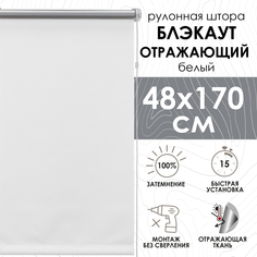 Рулонные шторы Blackout silverback отражающий белый 48х170 см Эскар