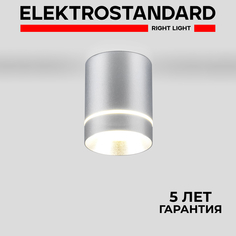 Накладной светодиодный светильник Elektrostandard Topper DLR021 9W 4200K хром матовый