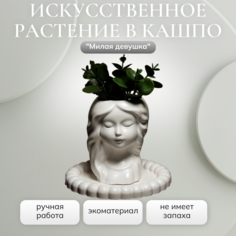 Искусственное растение в кашпо "Милая девушка" No Brand