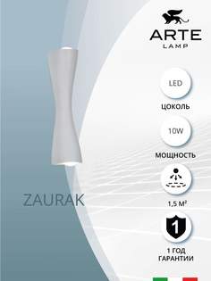 Декоративная подсветка Arte Lamp ZAURAK A2697AP-10WH