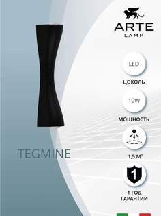 Декоративная подсветка Arte Lamp TEGMINE A2696AP-10BK