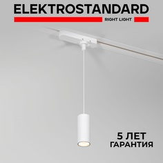Трековый подвесной однофазный светильник Elektrostandard Amend 85113/01 12W 4000K