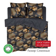 Постельное белье из бязи АРТПОСТЕЛЬ Альберт арт. 533 семейный на резинке
