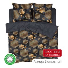 Постельное белье из бязи АРТПОСТЕЛЬ Альберт арт. 531 2-спальный на резинке