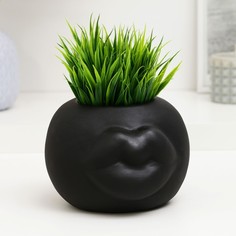 Ваза "Губки", черная, 1,2 л/14х10 см Evis