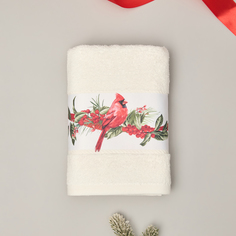 Полотенце махровое Wonderful Time Cozy Home