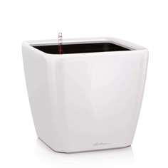 Кашпо Lechuza quadro ls 50см белый блестящий с автополивом