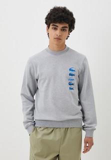 Свитшот Lacoste