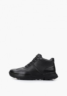 Ботинки T.Taccardi