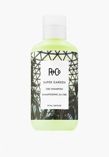 Шампунь R+Co