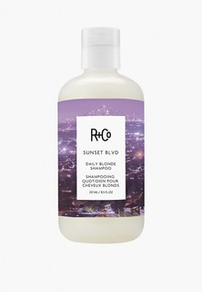 Шампунь R+Co