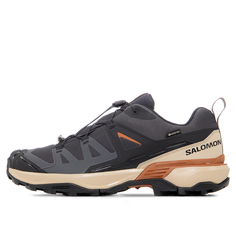 Мужские кроссовки X Ultra 360 Gore-Tex Salomon