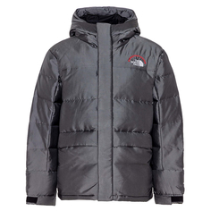 Куртка M HMLYN 30 ANNIV PARKA Moonstone Grey The North Face