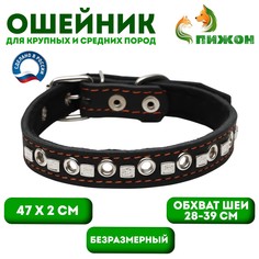 Ошейник кожаный на синтепоне украшенный, безразмерный, 47 х 2 см, ош 28-39 см, черный Пижон