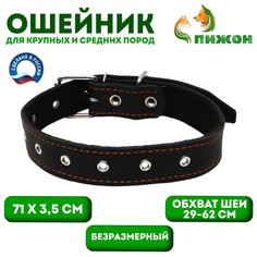 Ошейник кожаный на синтепоне, безразмерный, 71 х 3,5 см, ош 29-62 см, черный Пижон