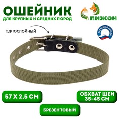 Ошейник брезентовый однослойный, 57 х 2,5 см, ош 35-45 см, хаки Пижон