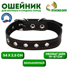 Ошейник кожаный на синтепоне, безразмерный, 54 х 2,5 см, ош 19-47 см, черный Пижон
