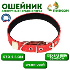 Ошейник брезентовый с подкладом, 57 х 2,5 см, ош 35-45 см, красный Пижон