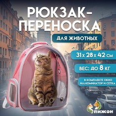Рюкзак для переноски кошек и собак, прозрачный, 31 х 28 х 42 см, розовый Пижон