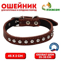 Ошейник кожаный на синтепоне украшенный, 45 х 2 см, ош 25-35 см, коричневый Пижон