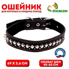Ошейник кожаный на синтепоне Пижон