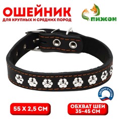 Ошейник кожаный на синтепоне, украшенный, 55 х 2.5 см, ош 35-45 см, черный Пижон