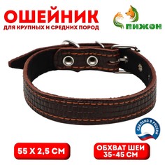Ошейник кожаный с тиснением на синтепоне, 55 х 2.5 см, ош 35-45 см, коричневый Пижон