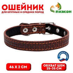 Ошейник кожаный с тиснением на синтепоне, 46 х 2 см, ош 25-35 см, коричневый Пижон