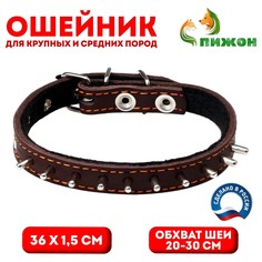 Ошейник кожаный на синтепоне, Пижон