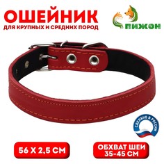 Ошейник кожаный на синтепоне, 56 х 2.5 см, ош 35-45 см, красный Пижон